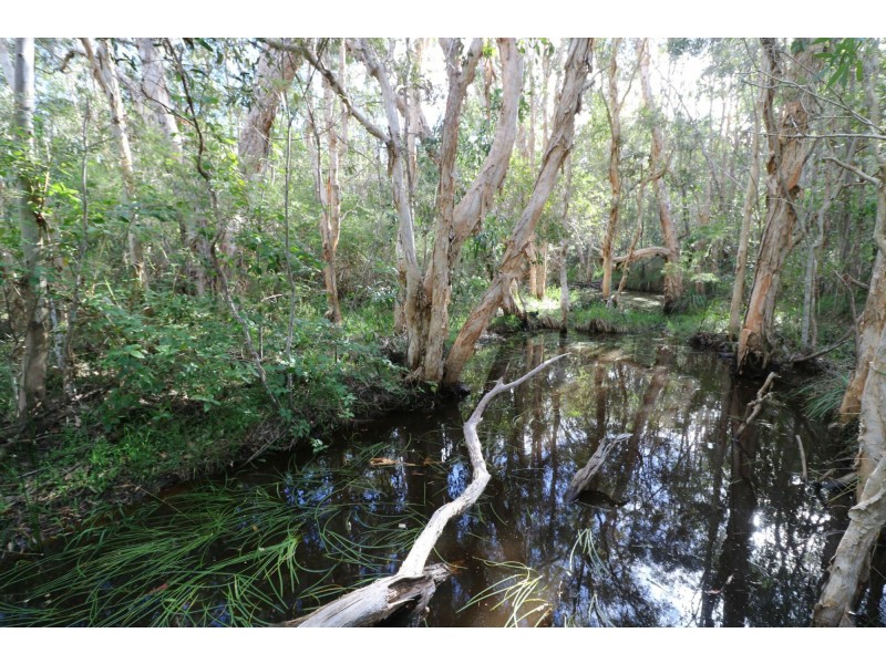 494 Butchers Road, South Isis QLD 4660