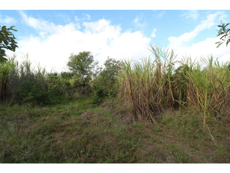 494 Butchers Road, South Isis QLD 4660