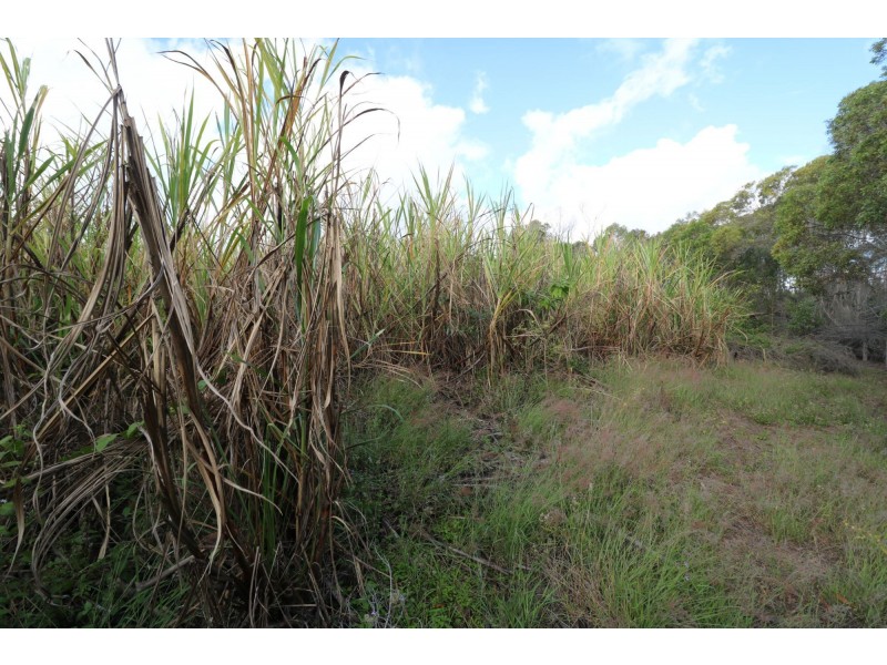 494 Butchers Road, South Isis QLD 4660