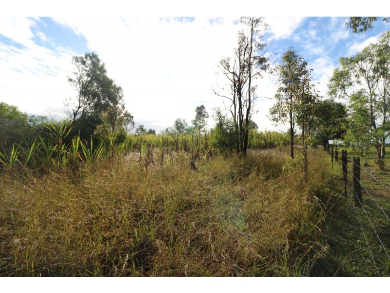 494 Butchers Road, South Isis QLD 4660