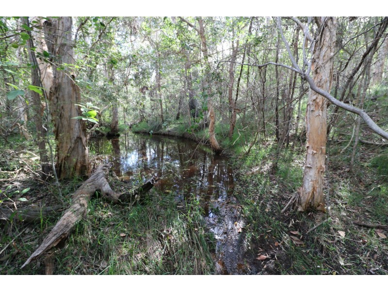 494 Butchers Road, South Isis QLD 4660