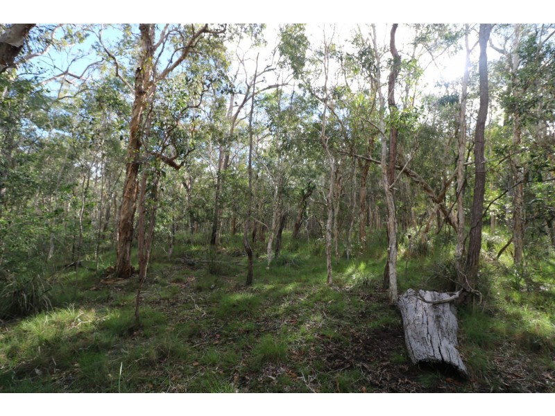 494 Butchers Road, South Isis QLD 4660