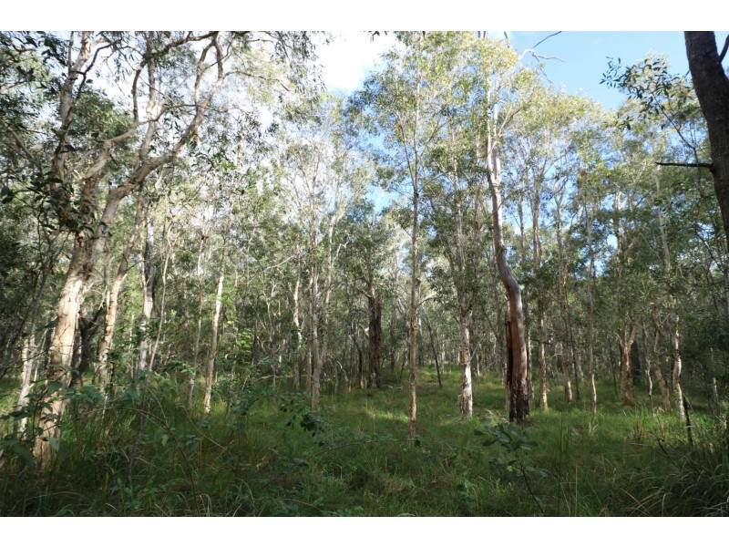 494 Butchers Road, South Isis QLD 4660