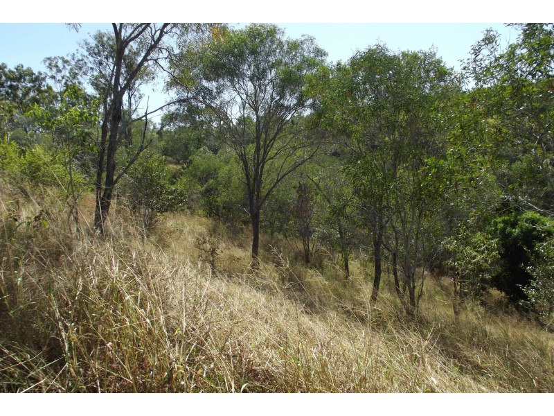 Lot 1 Coringa Hills Road, Coringa QLD 4621