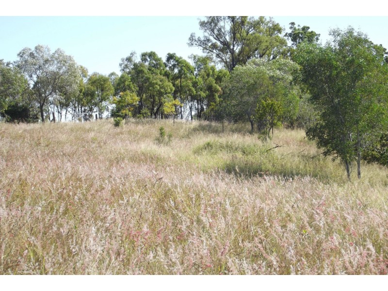 Lot 1 Coringa Hills Road, Coringa QLD 4621