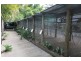 322 Old Creek Road, Apple Tree Creek QLD 4660