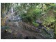 322 Old Creek Road, Apple Tree Creek QLD 4660