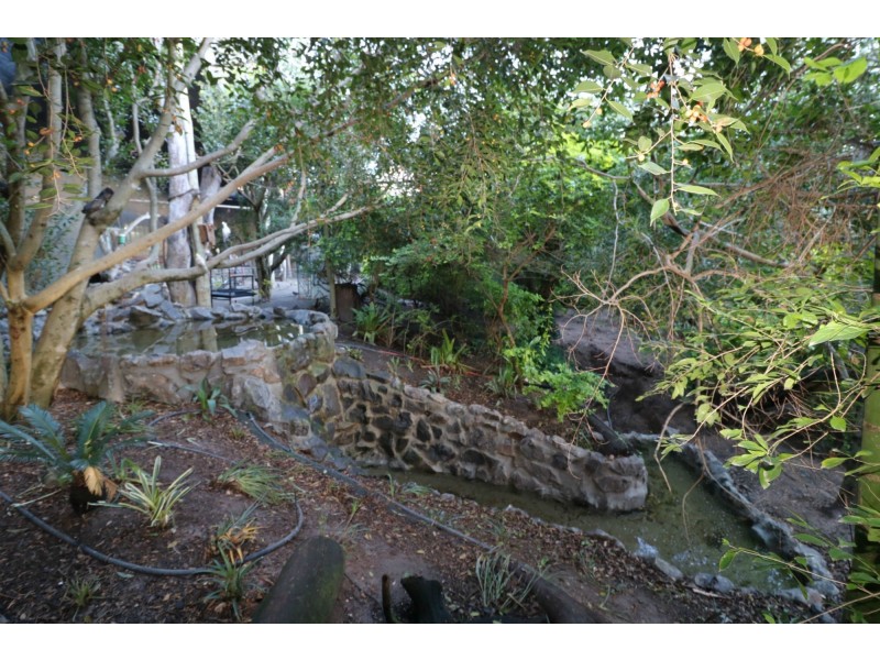 322 Old Creek Road, Apple Tree Creek QLD 4660