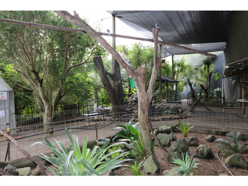 322 Old Creek Road, Apple Tree Creek QLD 4660