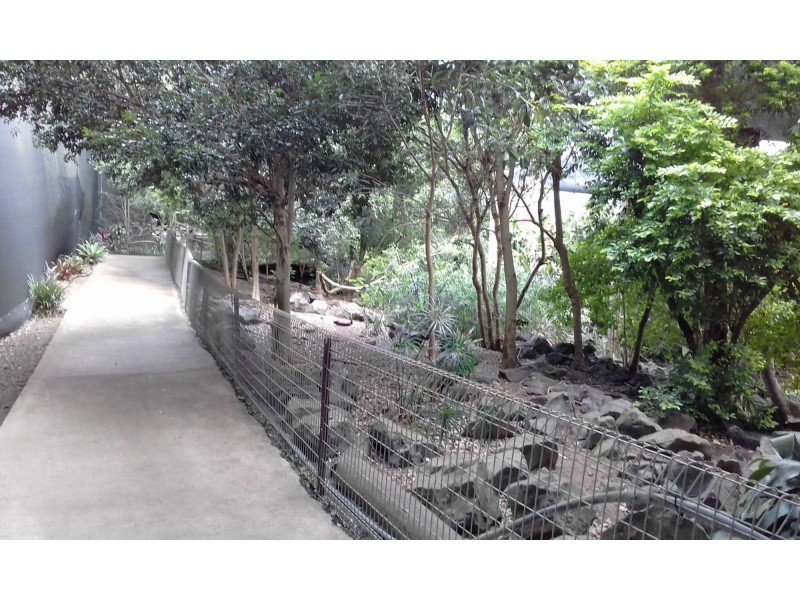 322 Old Creek Road, Apple Tree Creek QLD 4660