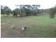 322 Old Creek Road, Apple Tree Creek QLD 4660