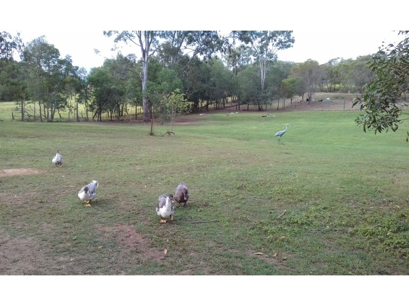 322 Old Creek Road, Apple Tree Creek QLD 4660