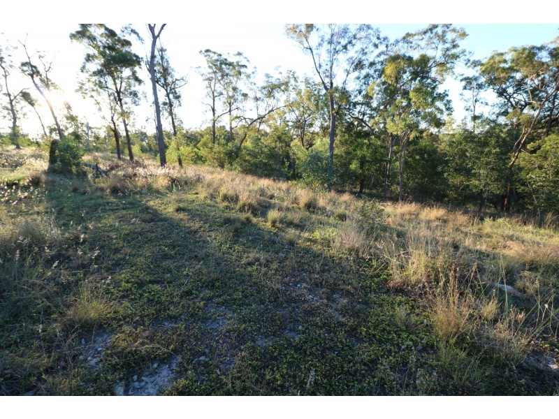 99 Chappell Hills Road, South Isis QLD 4660