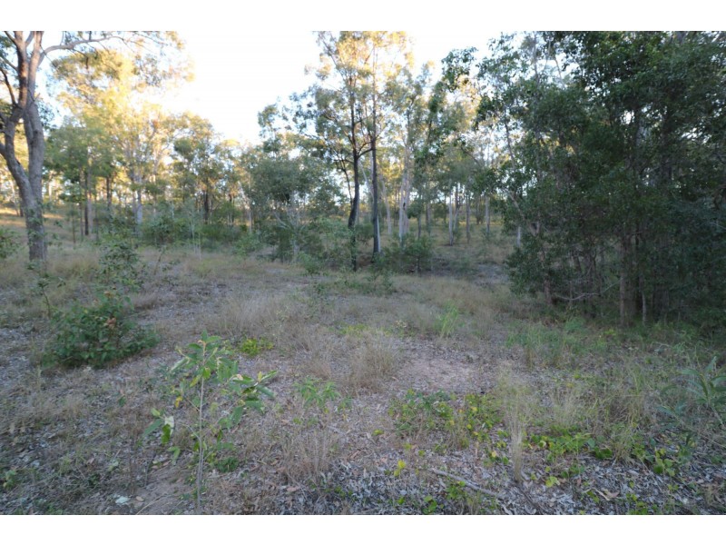 99 Chappell Hills Road, South Isis QLD 4660