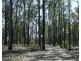 292 Marule Road, Booyal QLD 4671