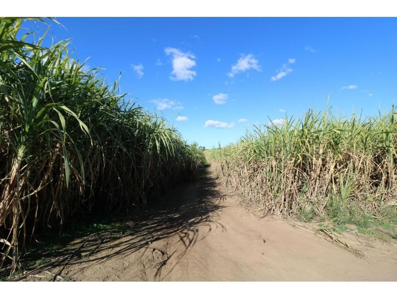 108 Waterview Road, Bundaberg North QLD 4670