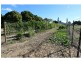 108 Waterview Road, Bundaberg North QLD 4670