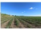 108 Waterview Road, Bundaberg North QLD 4670