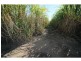108 Waterview Road, Bundaberg North QLD 4670