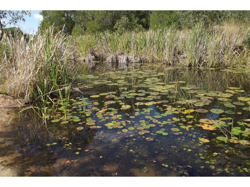 48 Cooks Rd, South Isis QLD 4660