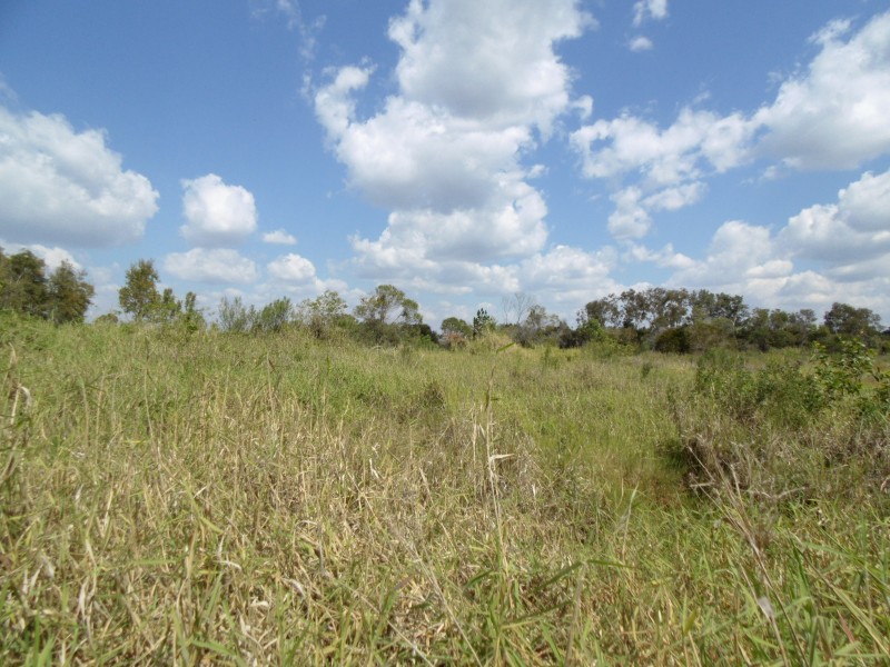 Lot 12 Mill Rd, Cordalba QLD 4660