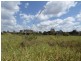 Lot 12 Mill Rd, Cordalba QLD 4660