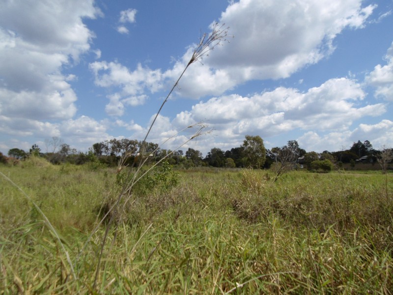 Lot 12 Mill Rd, Cordalba QLD 4660