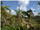 Lot 12 Mill Rd, Cordalba QLD 4660