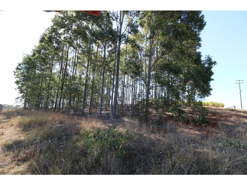 Lots 1 – 5 South Isis Road, South Isis QLD 4660