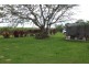 37 South Isis Rd, South Isis QLD 4660