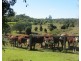 133 Cooks Rd, South Isis QLD 4660
