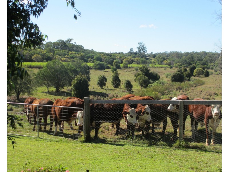 133 Cooks Rd, South Isis QLD 4660