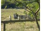 133 Cooks Rd, South Isis QLD 4660