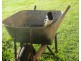 133 Cooks Rd, South Isis QLD 4660
