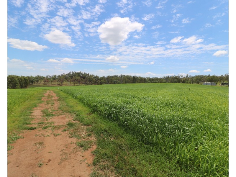 281 Causeway Rd, Booyal QLD 4671