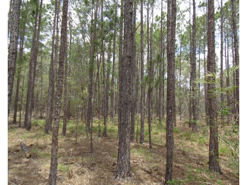 6 Onoprienkos Rd, Gregory River QLD 4660