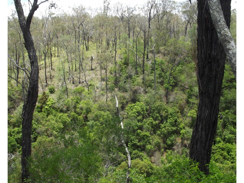 Dallarnil QLD 4621