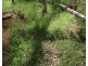 Lot 47 Mullers Rd, Redridge QLD 4660