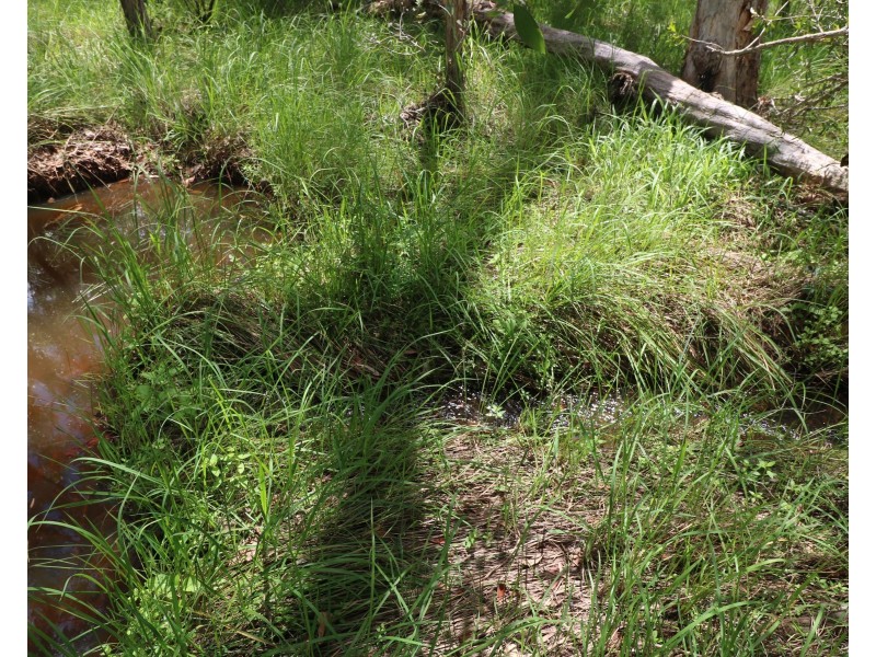 Lot 47 Mullers Rd, Redridge QLD 4660