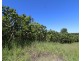 104 Whitebridge Rd, North Isis QLD 4660