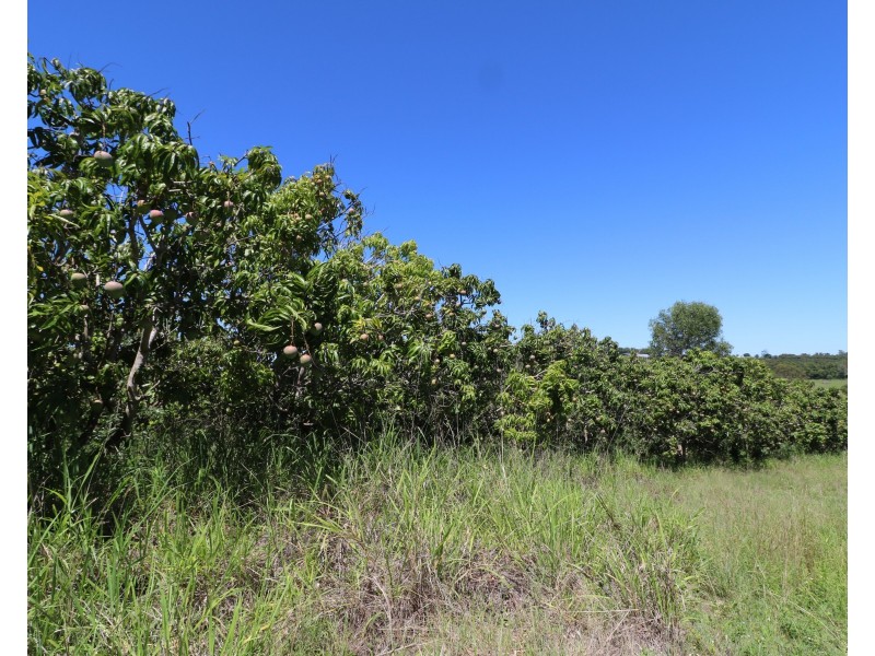 104 Whitebridge Rd, North Isis QLD 4660