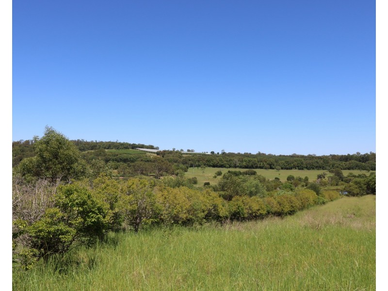 104 Whitebridge Rd, North Isis QLD 4660