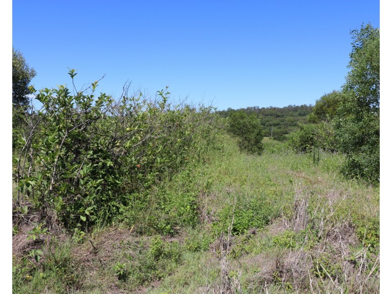 104 Whitebridge Rd, North Isis QLD 4660