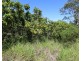 104 Whitebridge Rd, North Isis QLD 4660