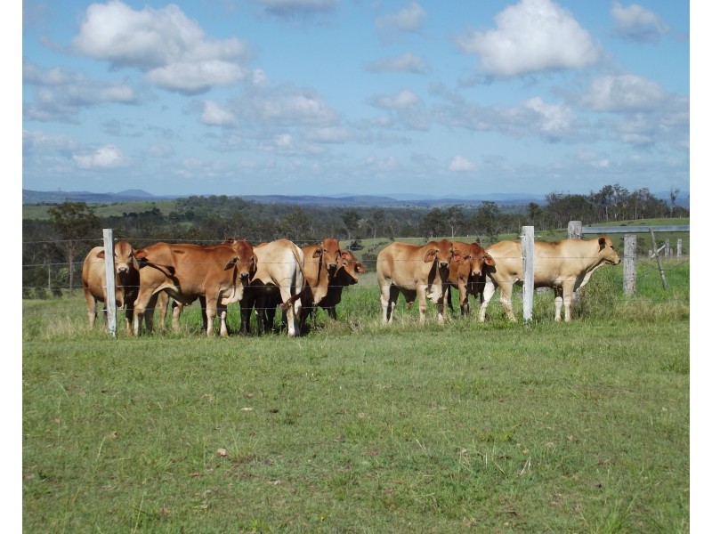 Isis Hwy, Dallarnil QLD 4621
