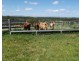 Isis Hwy, Dallarnil QLD 4621
