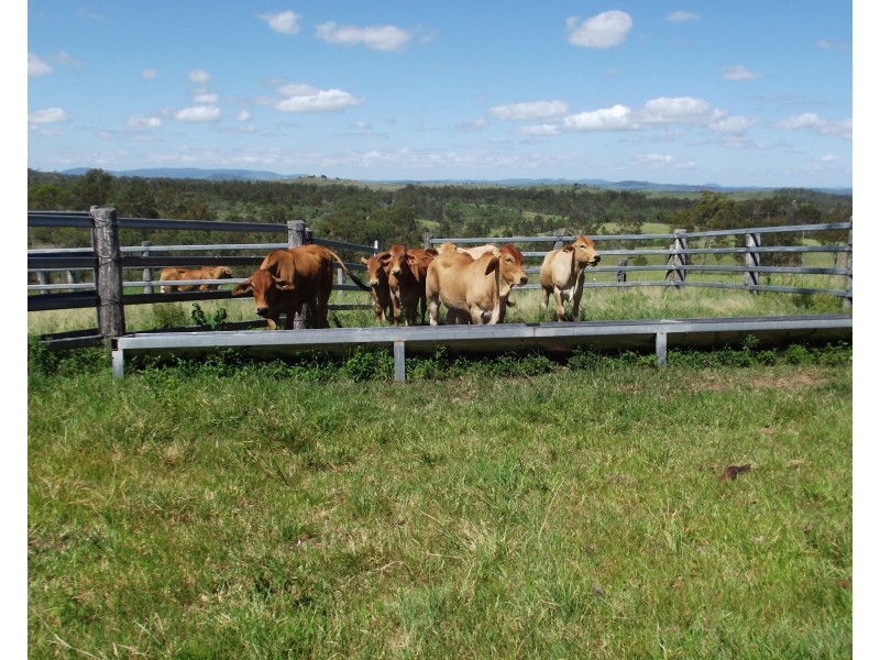 Isis Hwy, Dallarnil QLD 4621