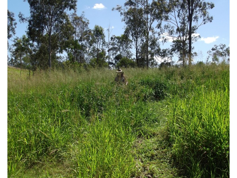 Isis Hwy, Dallarnil QLD 4621