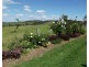 Isis Hwy, Dallarnil QLD 4621
