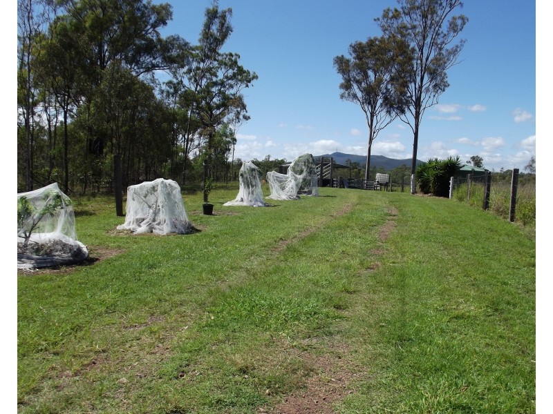 Isis Hwy, Dallarnil QLD 4621
